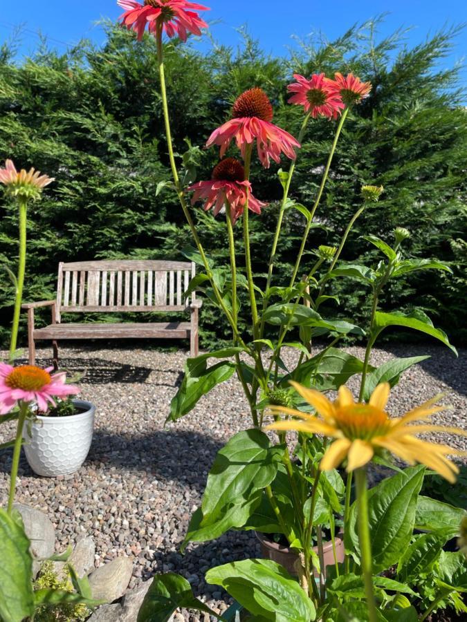 Willows Cottage Pitlochry Buitenkant foto